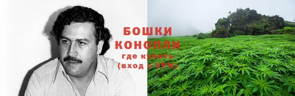СК Навашино