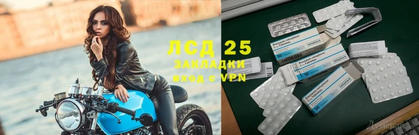 эйфоретик Надым