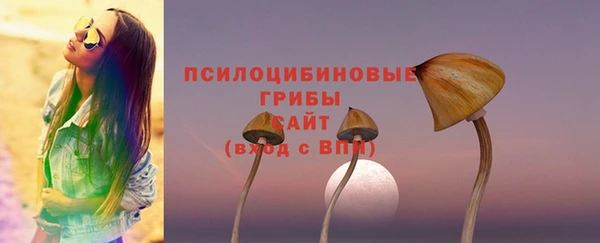 винт Наволоки