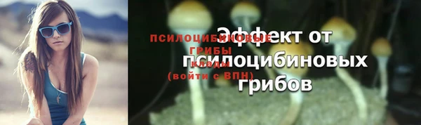 винт Наволоки