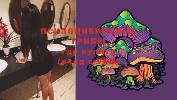 винт Наволоки