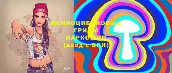 СК Навашино