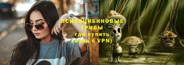 эйфоретик Надым